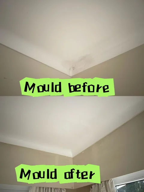 Original ceiling-corner comparison labelled Mould before and Mould after