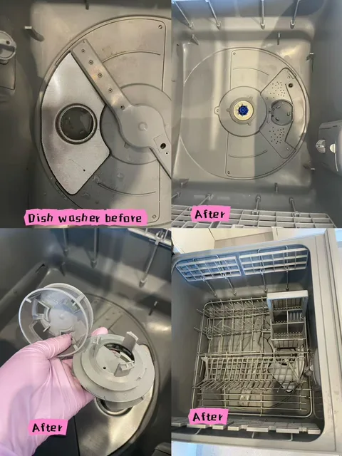 Dishwasher collage showing the base before and after, filter components and the lower rack